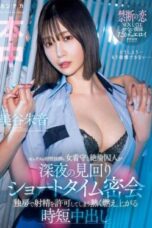 hmn604pl-550x374