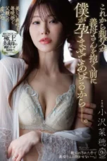 DLDSS-495